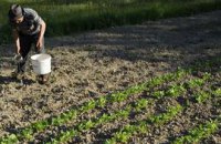 Арабы ждут отмены в Украине моратория на продажу земли