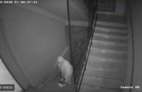 В кабинете главы горсуда Ужгорода нашли прослушку