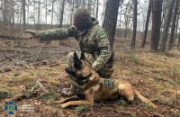 СБУ провела контрдиверсионные учения вблизи границы с Беларусью 