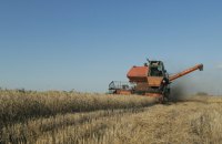 Фонд держмайна планує цього літа провести перші аукціони зі здачі в оренду сільськогосподарських земель