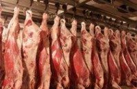 В Днепропетровской области работники мясокомбината украли мяса на 10 млн грн