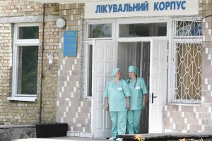 В Ужгороде из-за деревьев травмированы трое людей