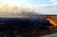 На Закарпатті горіла "долина нарцисів"