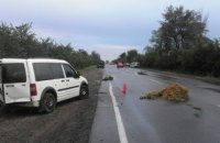 Трое взрослых и двое детей травмированы из-за ДТП в Николаевской области