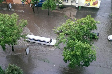 В Харькове непогода повалила деревья и сорвала крыши домов