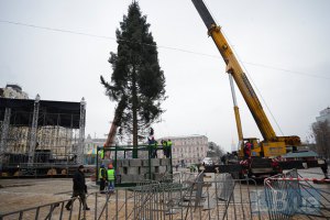 Новогоднюю елку в Киеве зажгут 19 декабря 