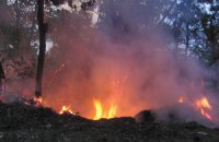 У Києві гасили пожежу біля вертолітного майданчика