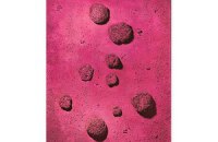 Торги искусством Christie's установили рекорд