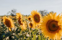 20 серпня в Україні переважно без опадів, повітря прогріється до +30°