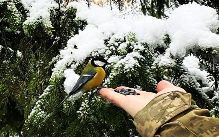 В Україні сьогодні від 2° морозу до 7° тепла