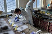 Поліцейські ідентифікували тіла двох дітей, які загинули під час обстрілу в Покровську
