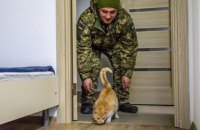 В Старичах открыли новое общежитие для 125 военных и одного кота, - Порошенко