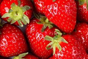 ​Danone намерен выращивать клубнику в Украине