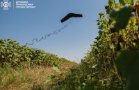 Прикордонники показали, як знищують росіян безпілотниками