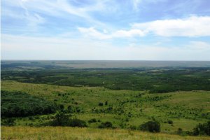Украинские военные взяли одну из высот Саур-Могилы, - спикер АТО
