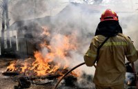 Біля Афін посилилася лісова пожежа