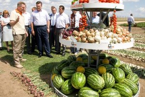 В Украине подорожали бананы и бахчевые