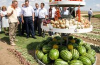 В Украине подорожали бананы и бахчевые
