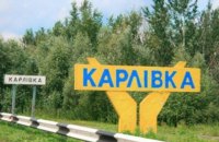 У Карлівці в сміттєвому баку знайшли два ненароджені плоди