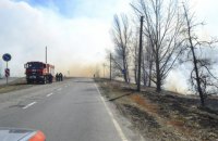 В Чернобыльской зоне появились новые очаги тления