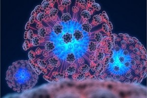 Вьетнам охватила неизвестная болезнь