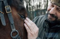 «Ветерани не хворі, вони нормальні ― просто бачили більше, ніж інші». Як у Львові організували кінні заняття для учасників війни