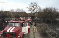 Из-за пожаров в зоне отчуждения пострадало 11,5 тыс. га заповедника