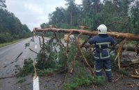 Из-за непогоды обесточены более 200 населенных пунктов в семи областях