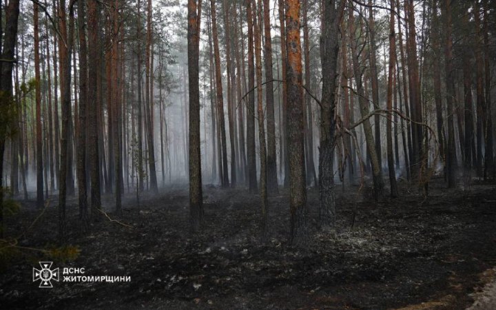  На Житомирщині триває ліквідація масштабної пожежі на території заповідника