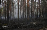  На Житомирщині триває ліквідація масштабної пожежі на території заповідника