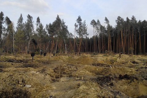 "Автомайдан" оприлюднив знімки масштабів незаконного видобутку бурштину