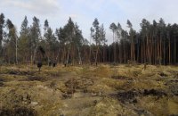 Автомайдан обнародовал снимки масштабов незаконной добычи янтаря