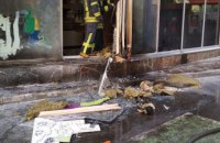 Полиция задержала поджигателя магазина Roshen на Осокорках