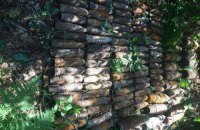 В Быковнянском лесу в Киеве нашли 114 артснарядов времен Второй мировой