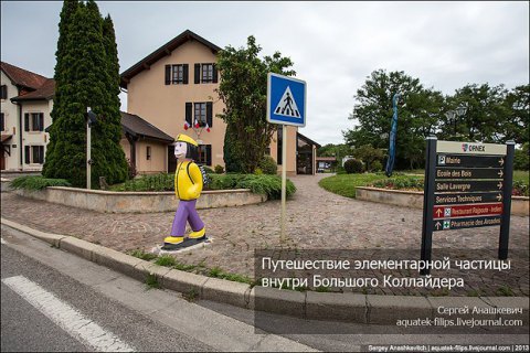 Хорек на несколько дней остановил Большой андронный коллайдер
