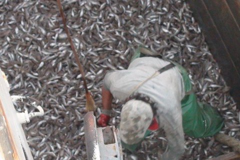 СБУ задержала за браконьерство два судна в Азовском море