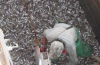 СБУ задержала за браконьерство два судна в Азовском море