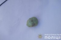 У Львові поліція опитає підлітка, який кидав предмети в юрбу на шкільній лінійці