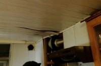 В Днепре из-за взрыва самогонного аппарата пострадал ребенок 