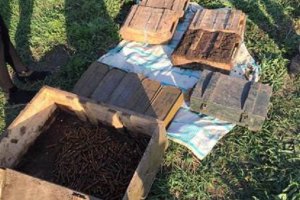 В Харьковской области и Хмельницком обнаружены три тайника с боеприпасами