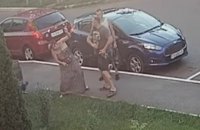 Глава партии УКРОП в Гостомеле ударил женщину из-за просьбы взять питбуля на поводок