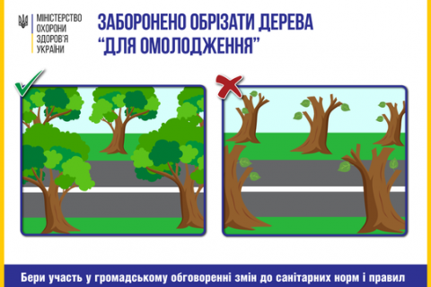 МОЗ пропонує заборонити обрізання дерев, спалювання листя і посипання доріг сіллю
