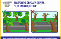 Минздрав предлагает запретить обрезку деревьев, сжигание листьев и посыпание дорог солью