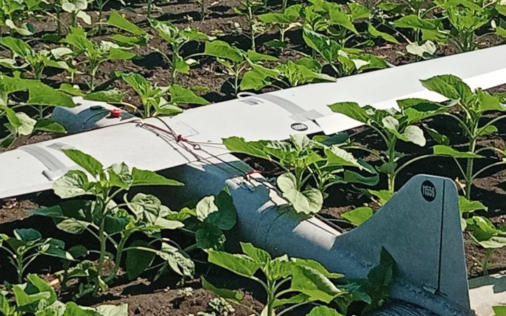 На Дніпропетровщині збили російський безпілотник