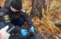 На Київщині поліція виявила останки вбитого росіянами цивільного, просить допомогти встановити його особу