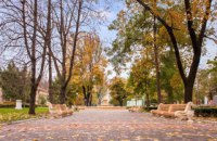 Где грань жадности правительства?