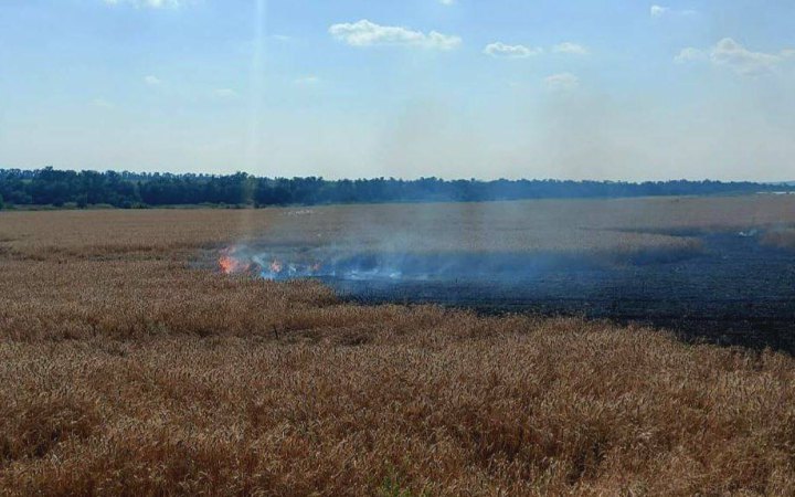 На Дніпропетровщині через російські обстріли загорілися пшеничні поля