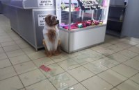 Неизвестные с автоматами ограбили ювелирный магазин в Николаеве