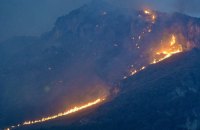 В Італії через лісові пожежі згоріло близько 70 тисяч гектарів землі