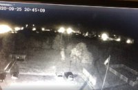 Опубликовано видео последних секунд полета Ан-26
